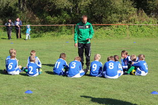 开云网站-德甲战术大变：变化迅速，精彩纷呈，德甲赛制介绍